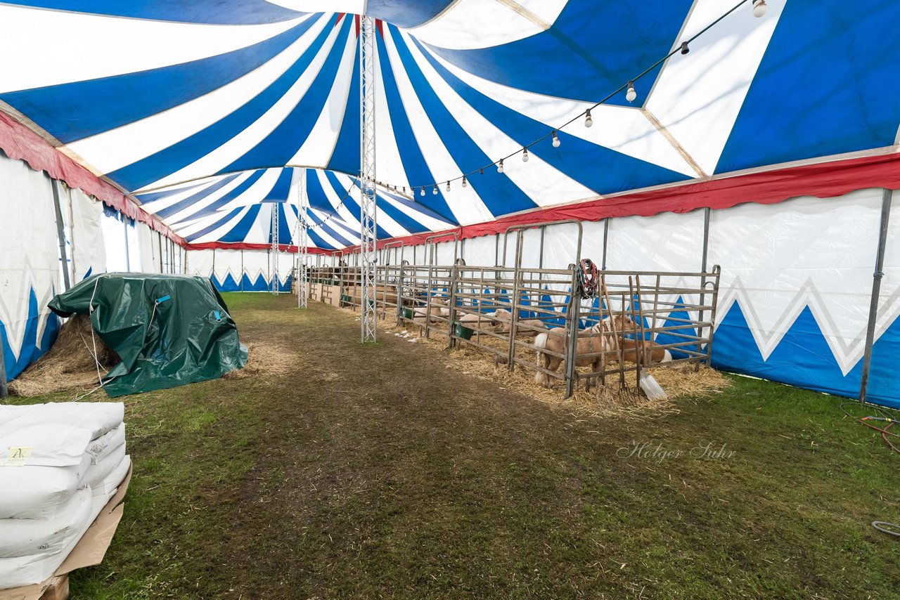 Bild 35 - Zirkus Europa